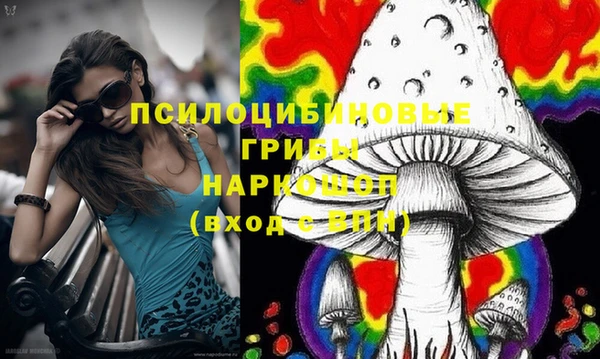 гидропоника Горнозаводск