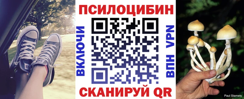 Купить где  Краснозаводск  Галлюциногенные грибы MAGIC MUSHROOMS 