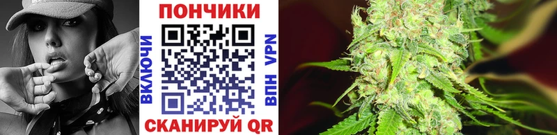 Купить закладки Краснозаводск Бошки Шишки тримм